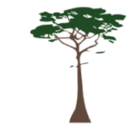 Cypress Insurance logo